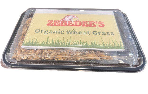 Zebedee&#39;s Organic Cat Grass Kit - Zebedee&#39;s Pet Products