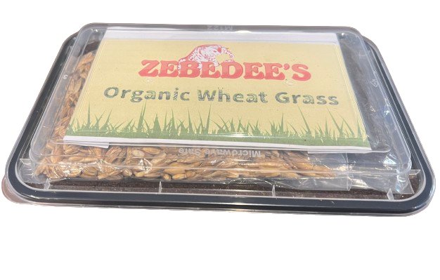 Zebedee's Organic Cat Grass Kit - Zebedee's Pet Products